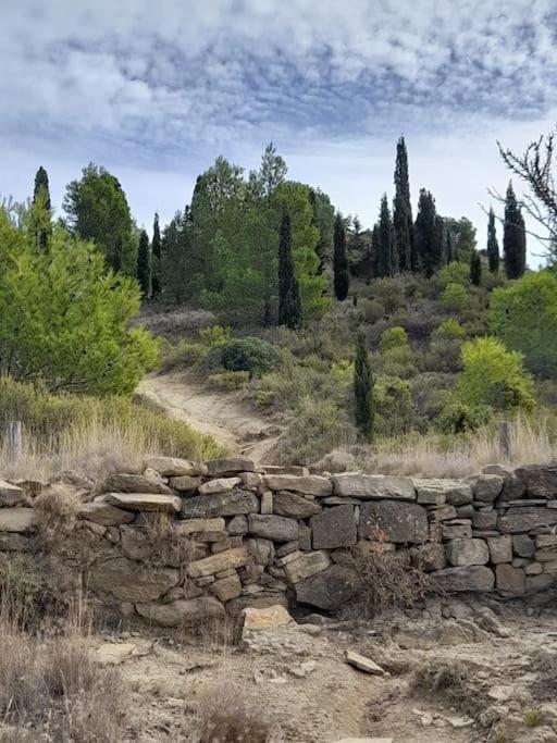 La Petite Pelerine Lägenhet Narbonne Exteriör bild